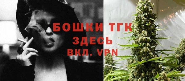мет Алексин