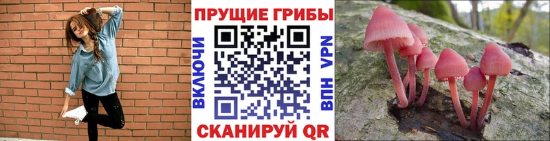 Галлюциногенные грибы мухоморы  Багратионовск 